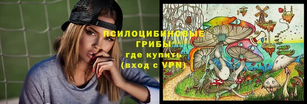 меф Арсеньев