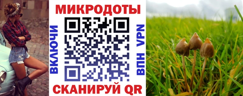 где найти наркотики мориарти как зайти Псилоцибиновые грибы Psilocybe Пошехонье